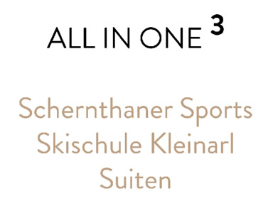 Service hoch 3 im Skiurlaub in Kleinarl, Österreich